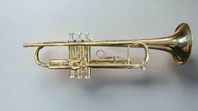 Load image into Gallery viewer, C.G. Conn Director Trumpet 18B (Pre-Owned)
