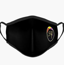 Load image into Gallery viewer, Front view HS Music Accessories Face Mask with Logo on Left side
