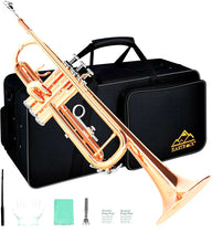 Load image into Gallery viewer, EASTROCK Bb Trumpet Standard Trumpet Set with Carrying Case,Gloves, 7C Mouthpiece and Cleaning Kit for Student Beginner
